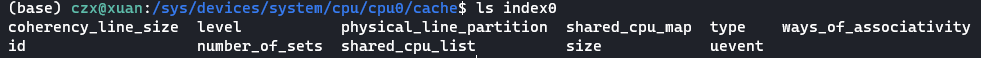 cpu0-index0-ls